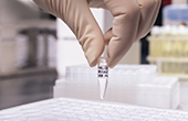 A gloved hand picking a vial from a box